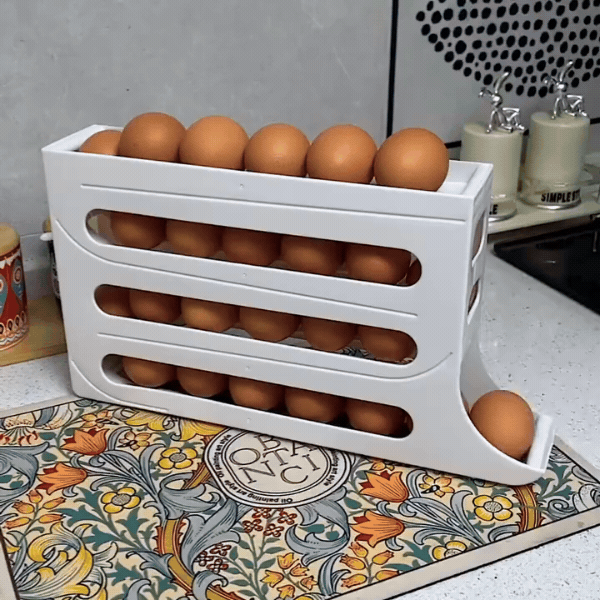 Organizador de huevos